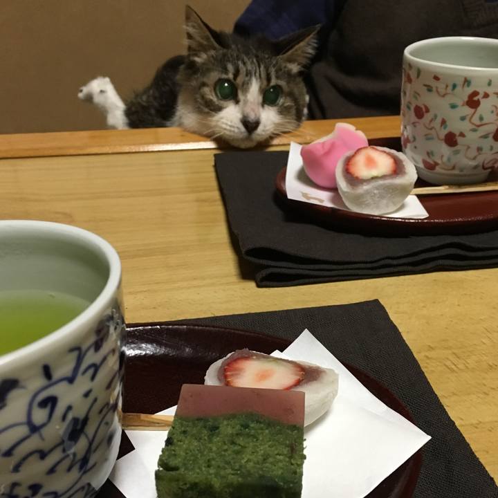 06952ed1 c1e6 4906 8479 6061b7ff6163