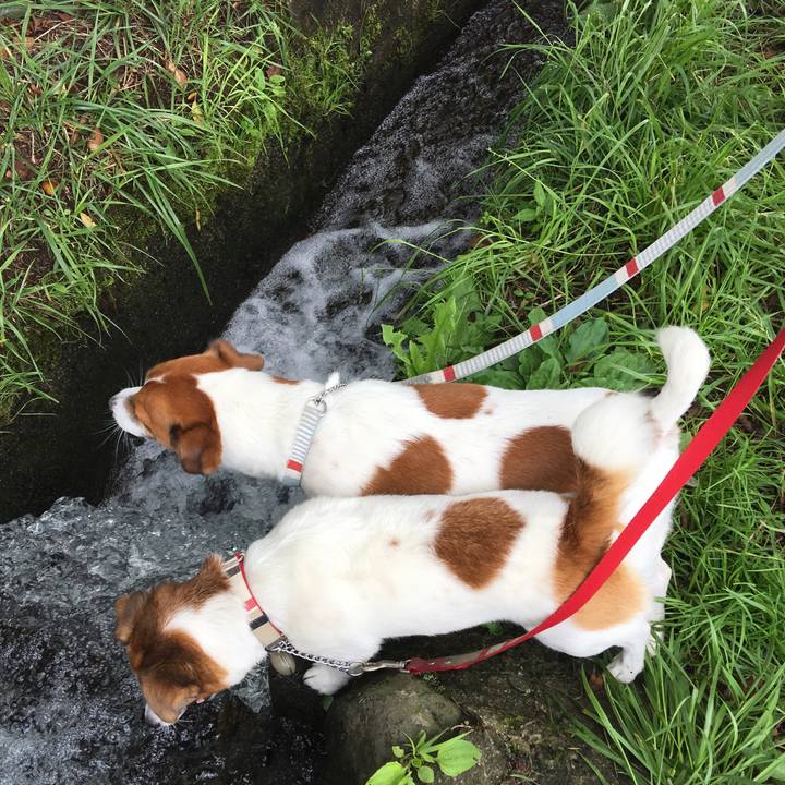 0695d6a5 9458 49e9 9a0c 145b02b2f75b