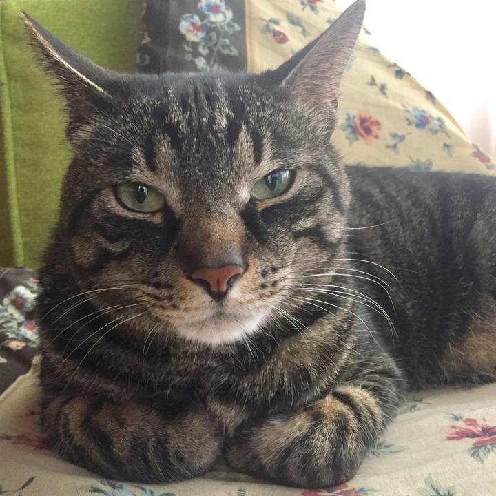 0695e5a3 3afb 483d b161 6bbaef547e05