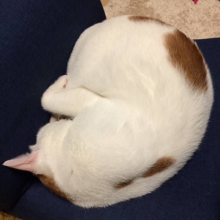 0695f25e efb1 4f94 9c8b b09a08f6a288