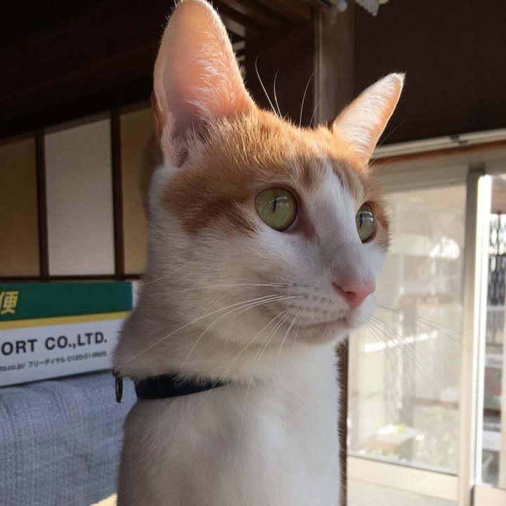 0696273c 601f 410b 996a af83ee8dbdf4