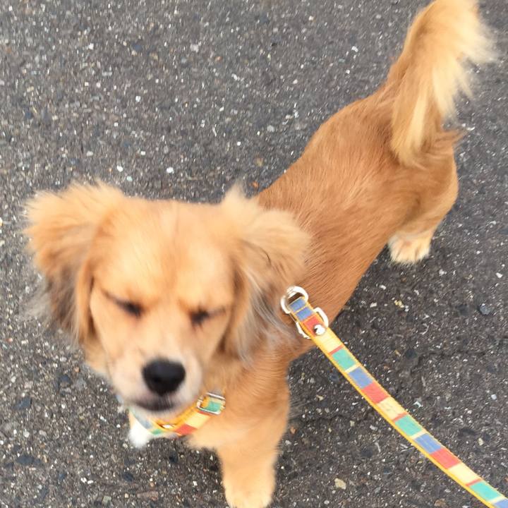 069666a9 453d 472b ba67 1c80cc335773