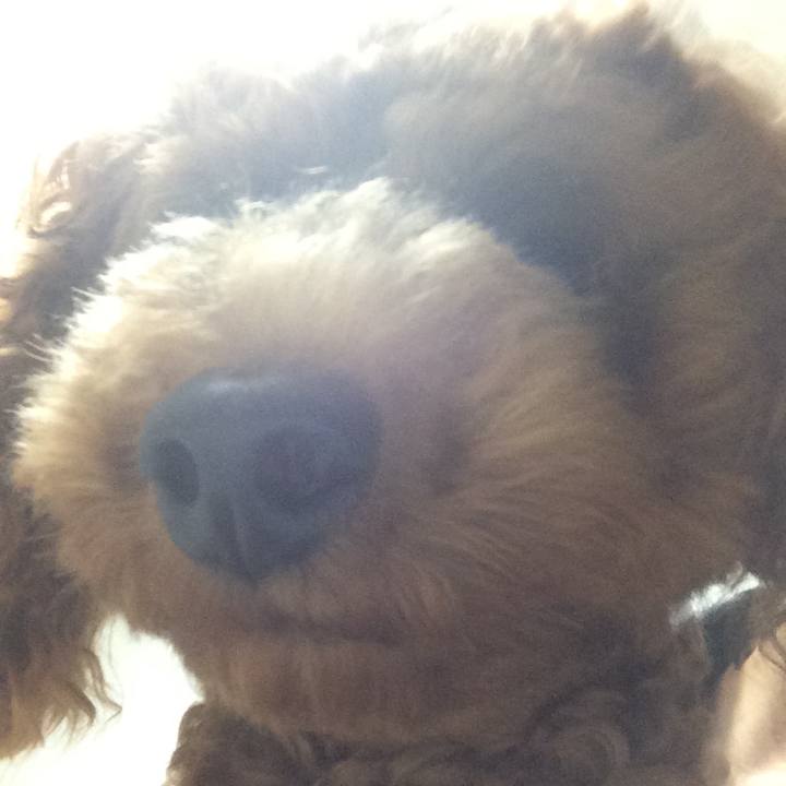 0697575c d165 4f5b 813a bd62ae177311