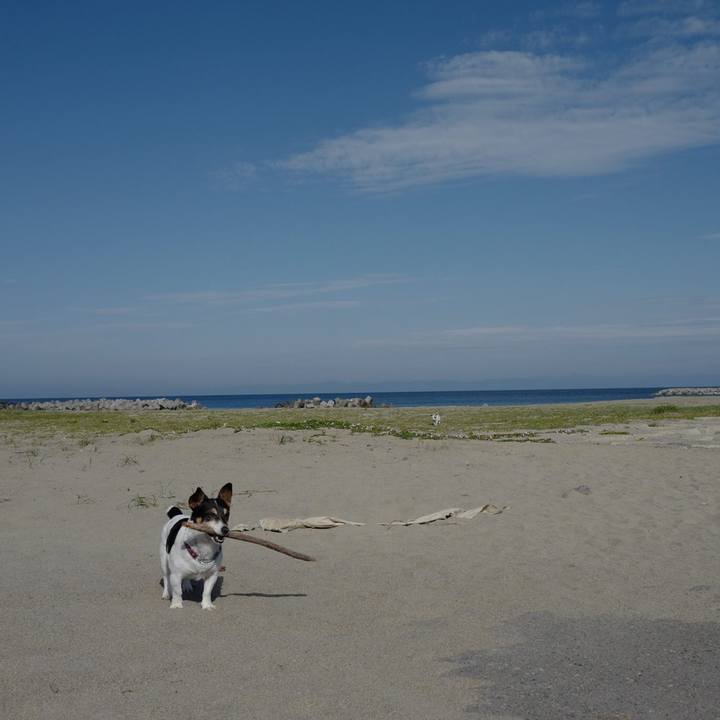 0697a7d8 b16b 45e2 a045 99ff1c060b54