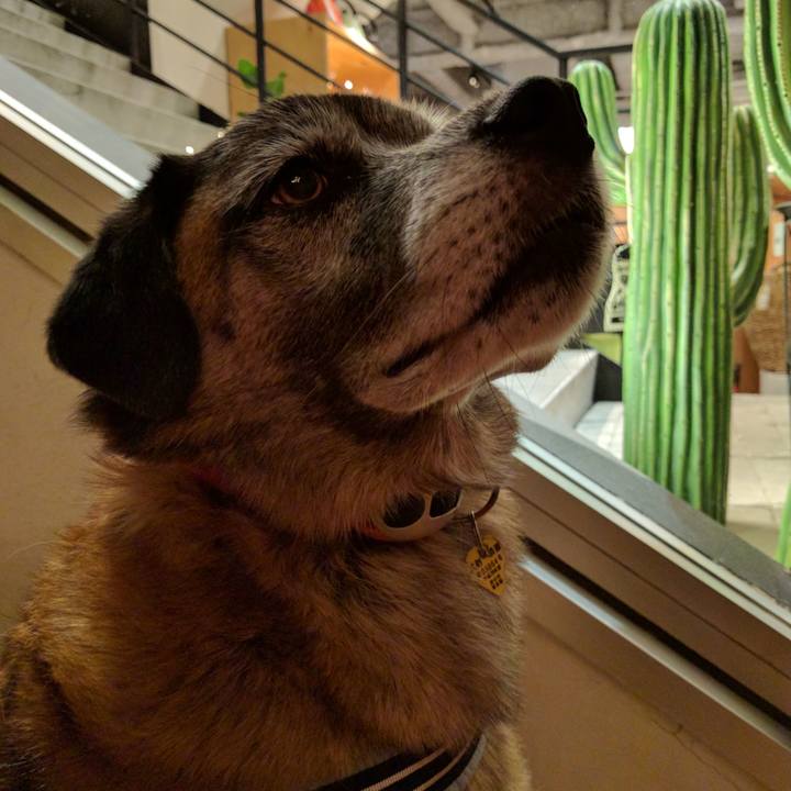 06982efc 6e09 41b4 b67e cf2ee1b88d4d