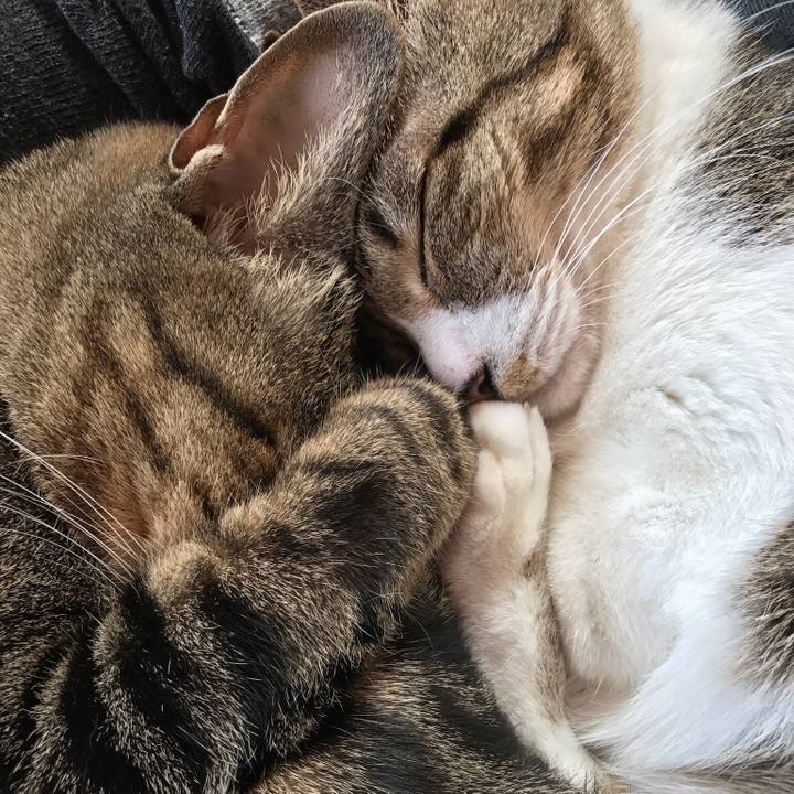 0698525f 87b4 433c 8250 d0cc65c3b28a