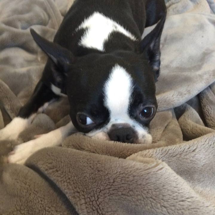 06985b34 0df0 41a2 ba3e 14a138bed94b