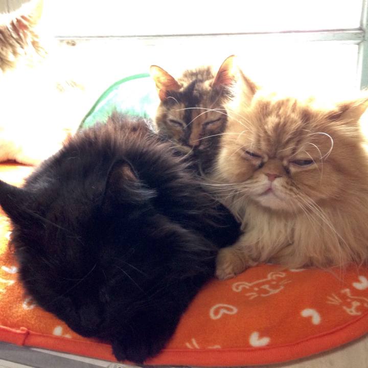 0698655d d84b 40c3 bee8 4fe886c6f916