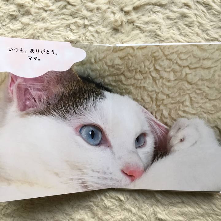 0698f1c8 9e8e 4fcc 872c 9b0e470eec6d