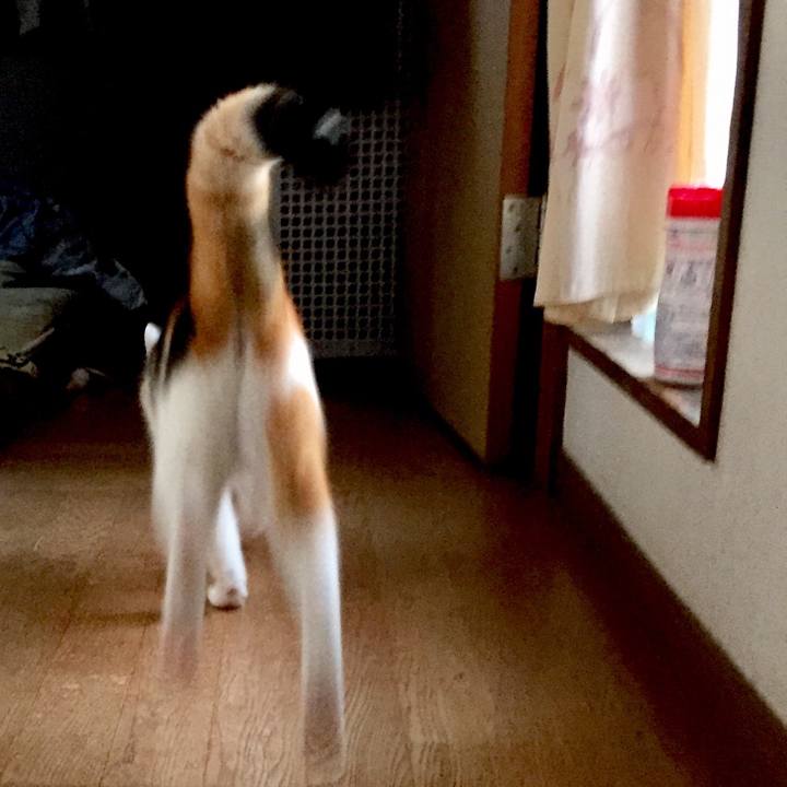 06999e38 7065 48f7 90a0 a58a33986926