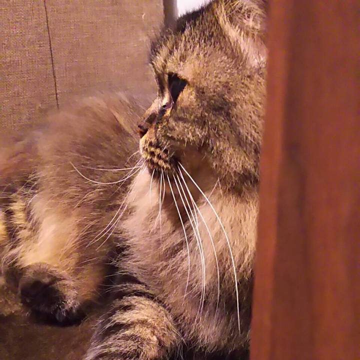 0699af77 91f4 4fb8 a0c1 dfa498124e19