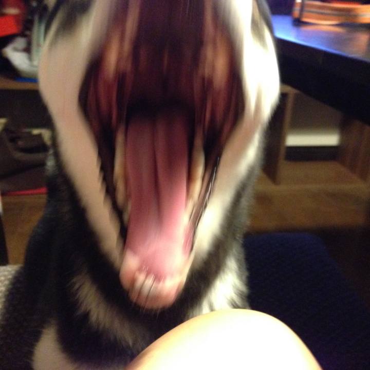 0699c2dd dc94 419c bd5a e66500e971cc