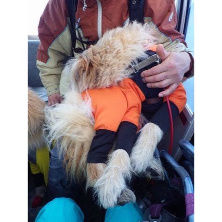 0699c72c 549c 4866 a445 7958dd42f154