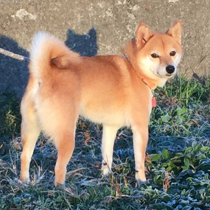 0699d442 c276 4f68 9781 b7a9bc368fe2