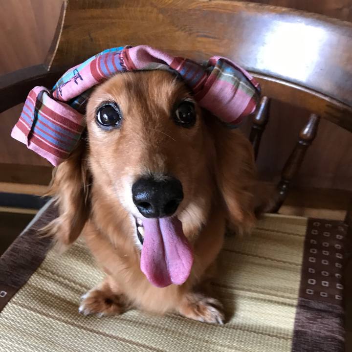 0699e2be 6eea 48c8 985c 4578cb9e5438