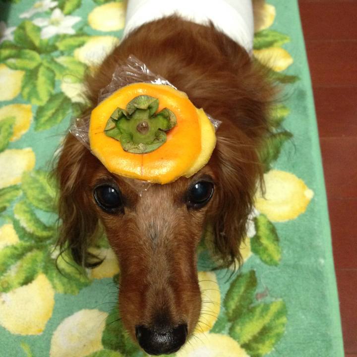 0699e2ff fbca 46bd 8e27 37dd49ea2426