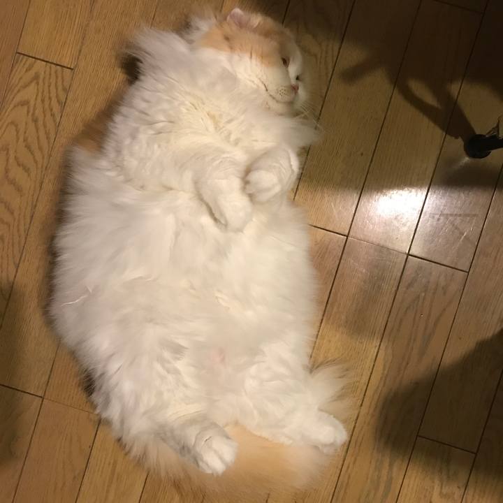 069a399f 6307 405d be00 0988ad49a43f