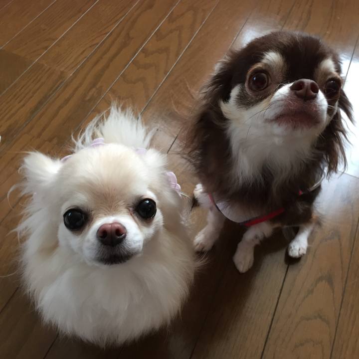 069a7798 6956 4eed 9d62 f98117abb729