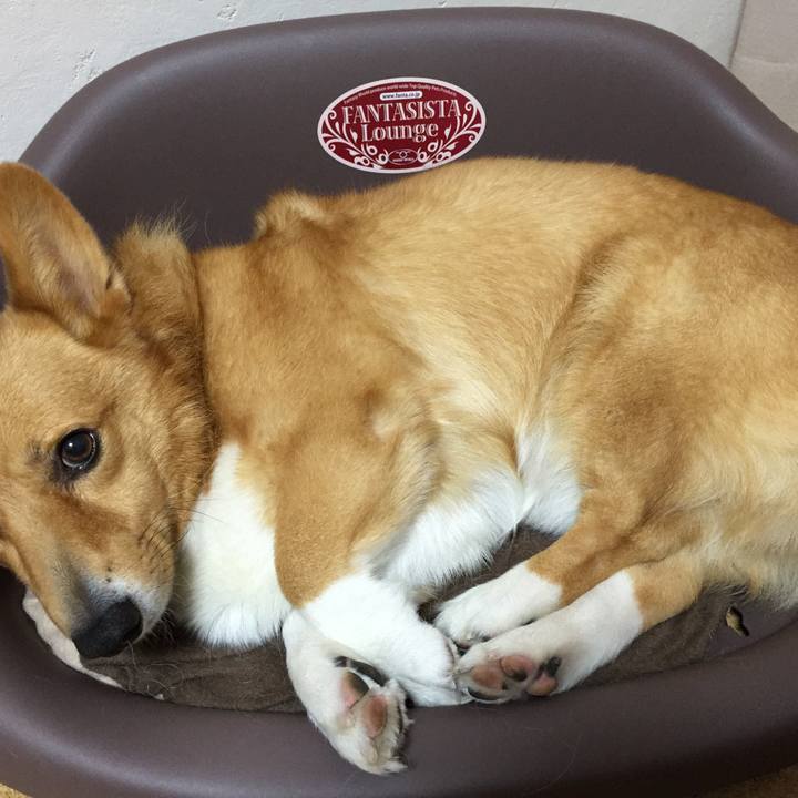 069a83b9 ddb8 4d49 84af 2afa304d2081