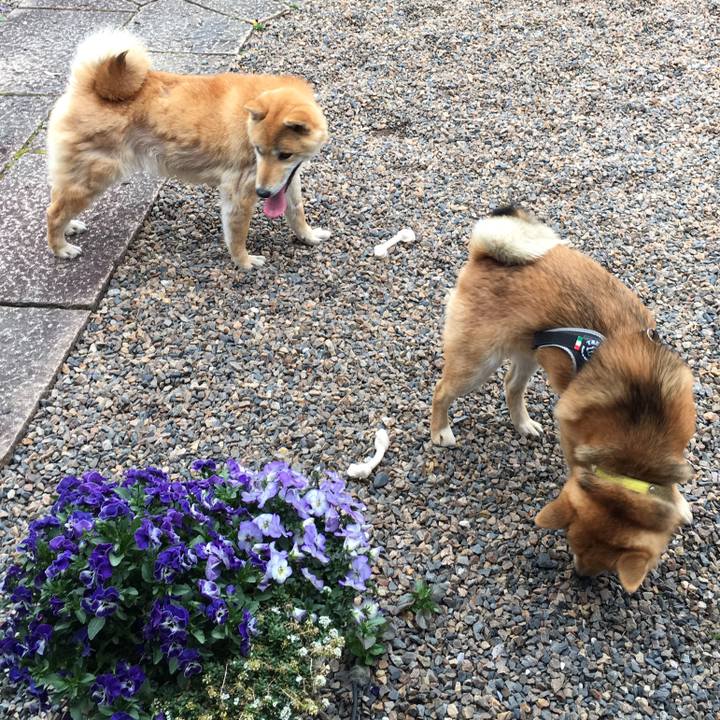 069ad60a c296 48cd 8788 0c7bdabdd1ed