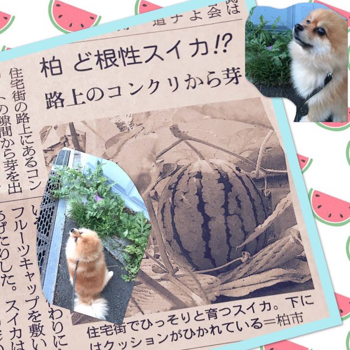 069af32c b252 4982 9736 ed4712bb83d6