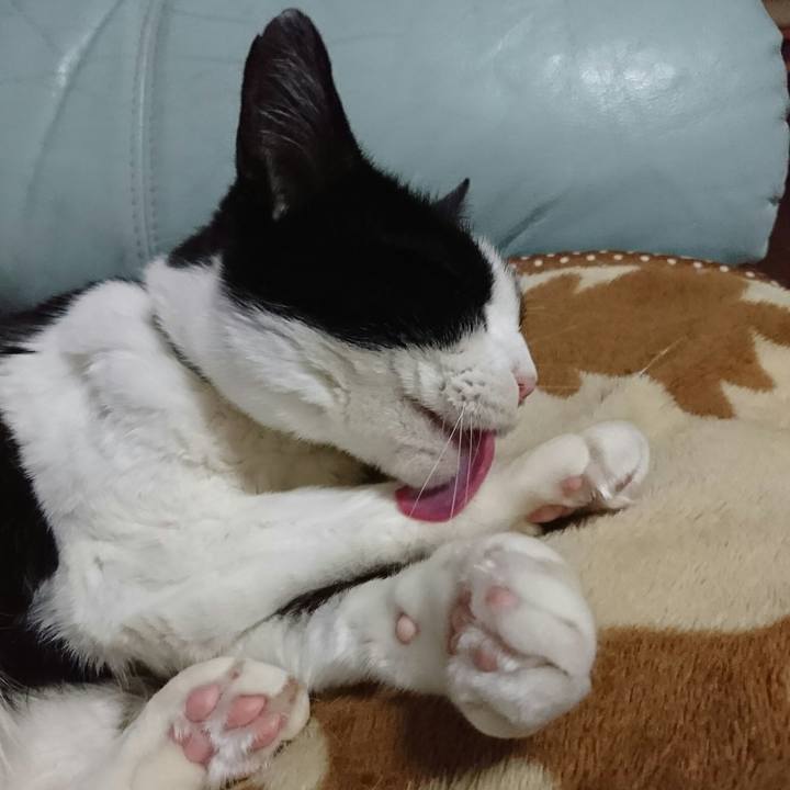 069b2db2 fe42 4755 adfa 3da98fcdb24c