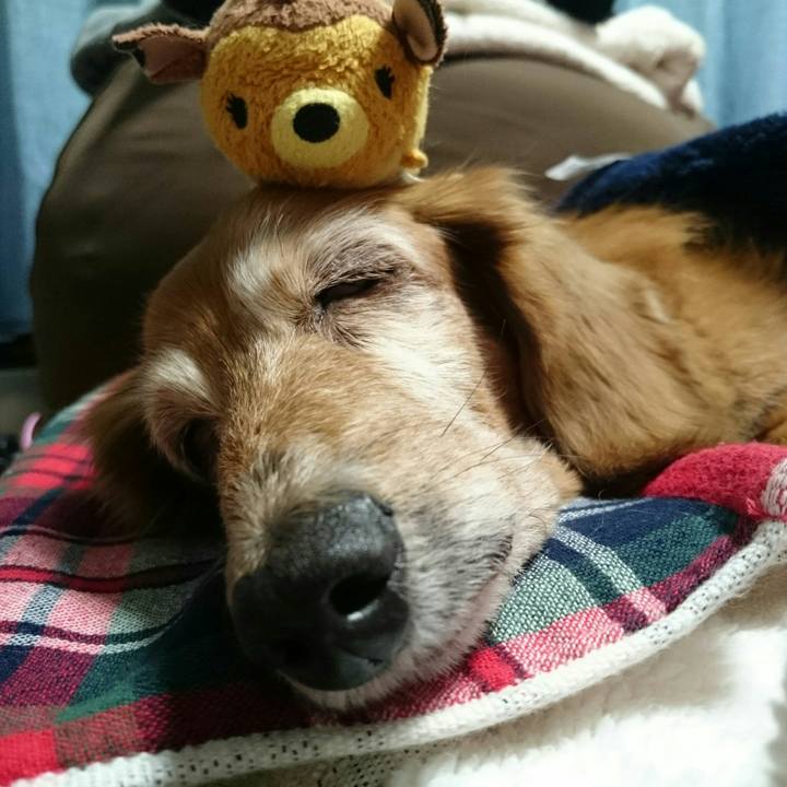 069b6d96 5489 4b5e a92f 864064507df6