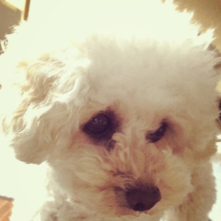 069b7b95 646e 4b44 af1e fdb369115a51