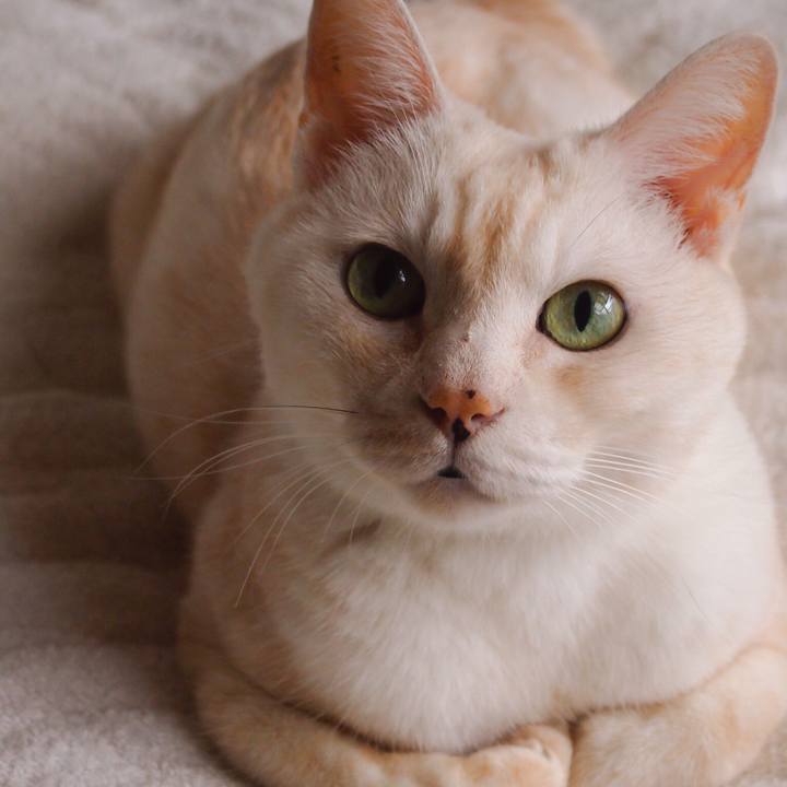 069b9676 e288 4c1d a970 8bfb8f9335de