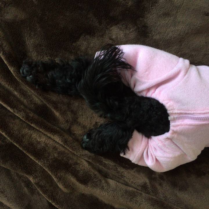 069c4ba8 483a 4b3f a898 cc881fe79945