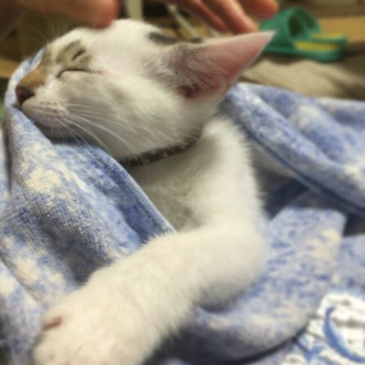 069c789f cdf9 404e bd1f 29aa279bdacd