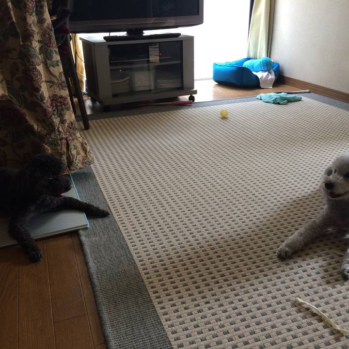 069d332f 1425 4062 9d88 7cbb2c0803fc