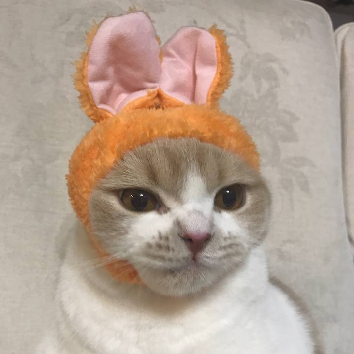 069dadcb 310c 48da bd6d 587120527dcf