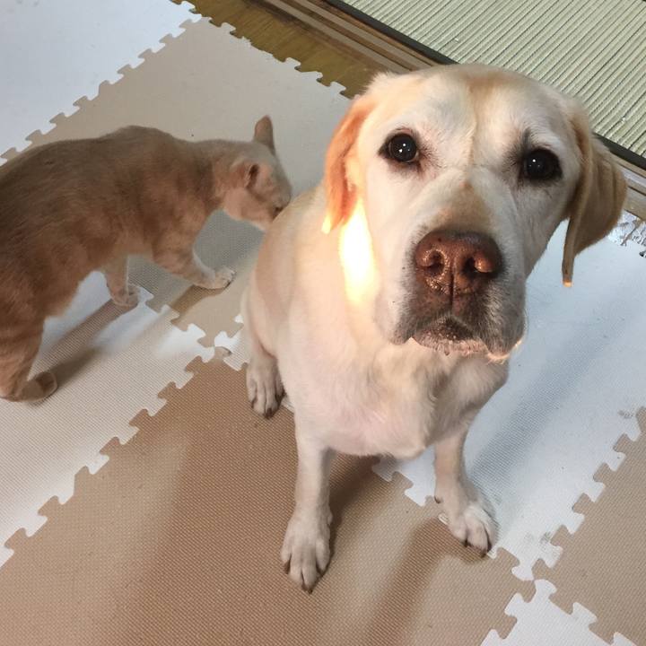 069e059a 509b 4a1b 8200 40c52e31aafe