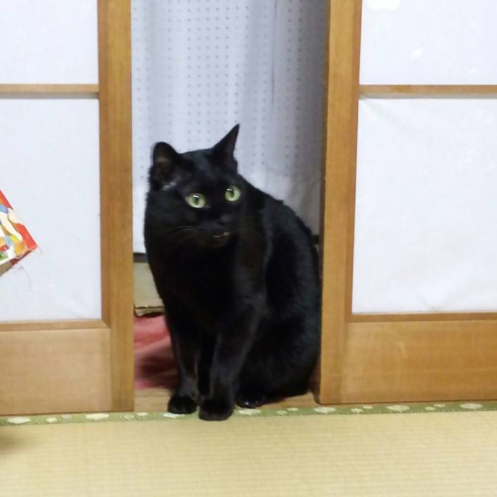 069e4c84 6bec 457d 8bca 89c05702a1f2