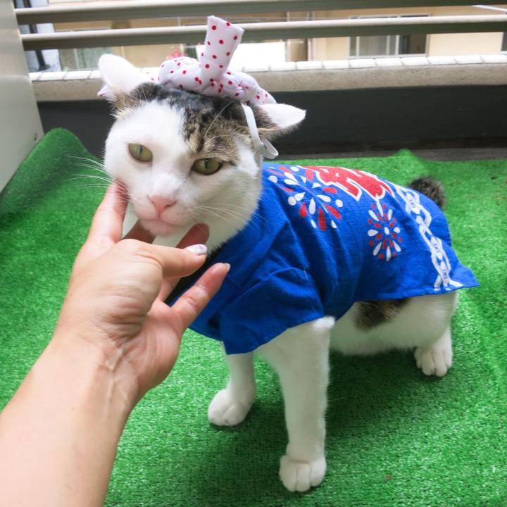 069ee6d4 5148 4df7 bc0b 3cfbf0ccffbe