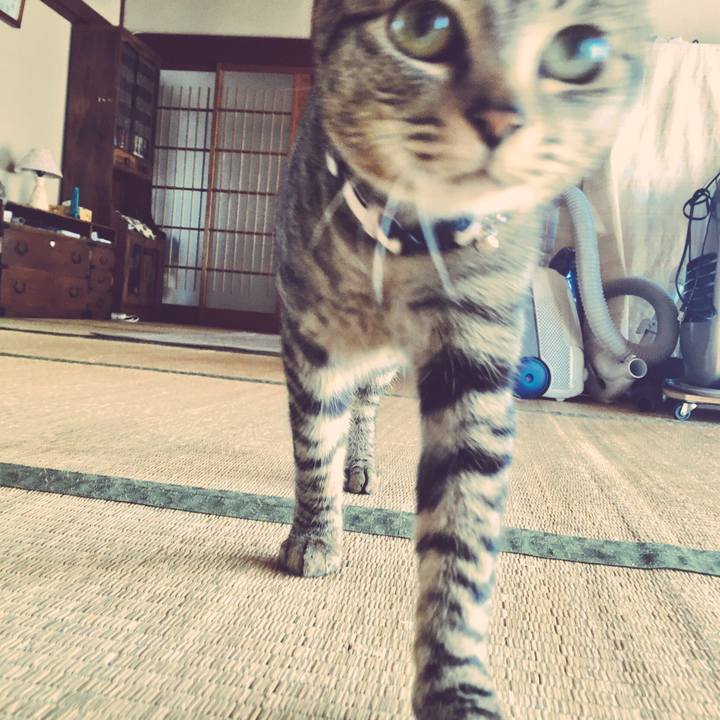 069f0ea2 7088 40cf a50f d052e7d1e75a