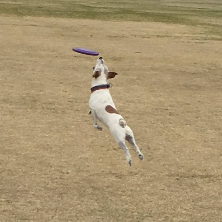 069f76da 5605 4918 88dc d8f11fab9e4f