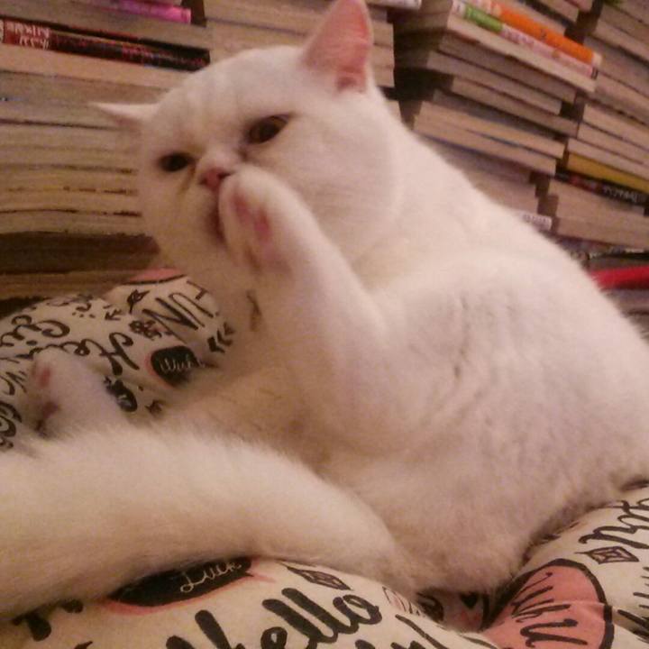 069f7739 7aef 4c93 aae5 7eabf730b800