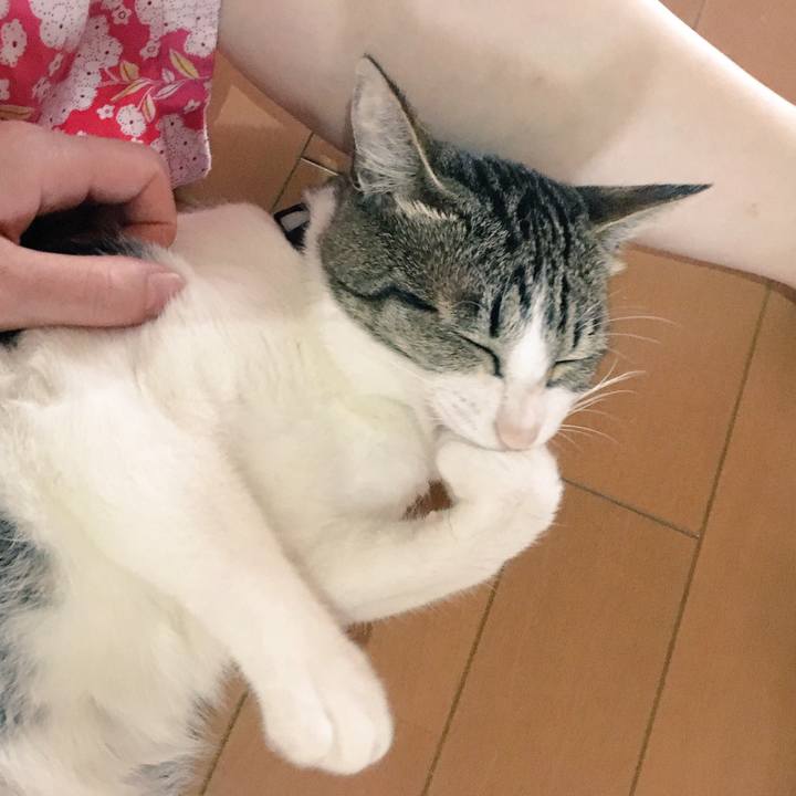 06a012ba 3d33 4d4a b2d5 a07e5b4daf5a