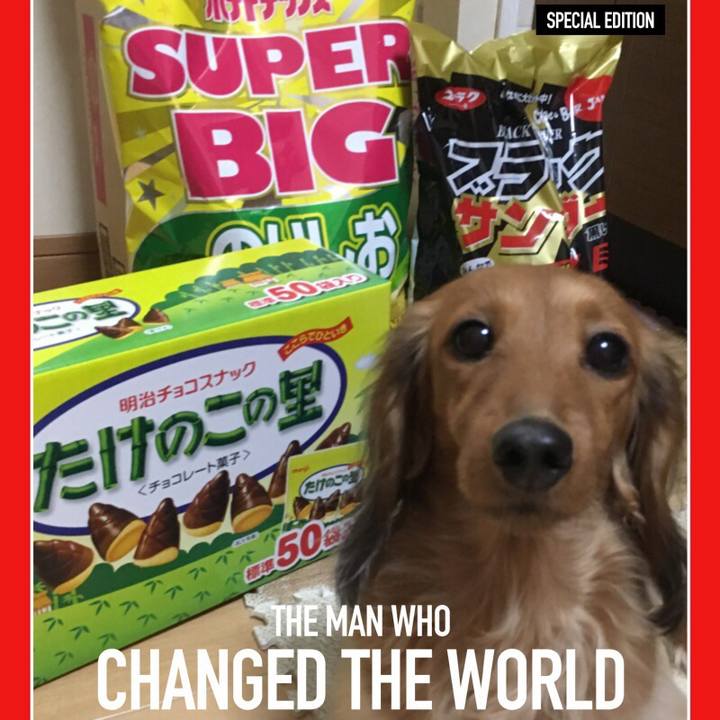 06a0371c 2de5 4d46 9655 564545d5aac2