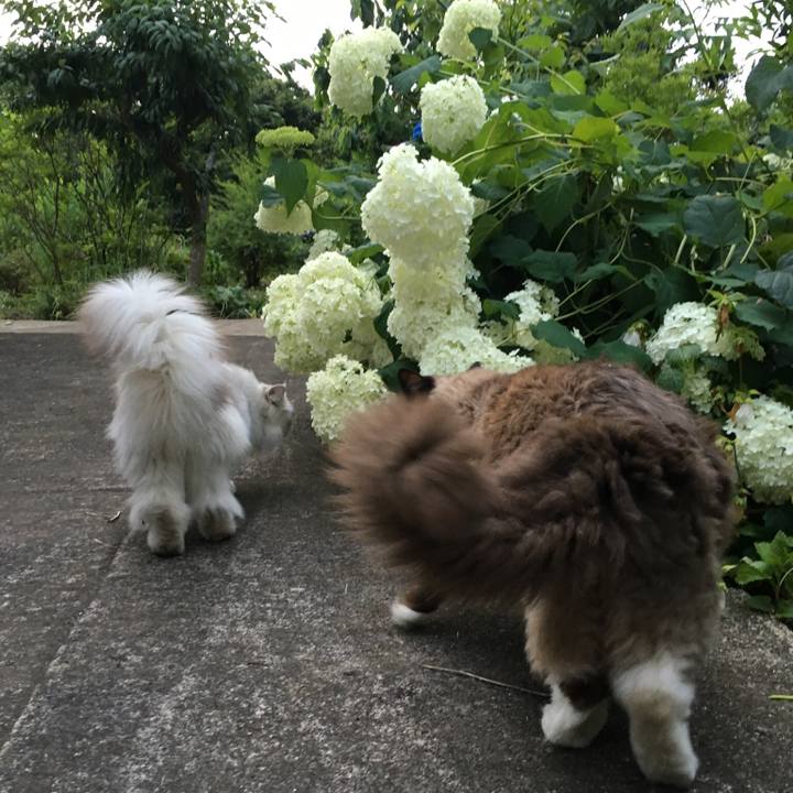 06a07fe2 cadf 4708 8ca0 a964927d868c