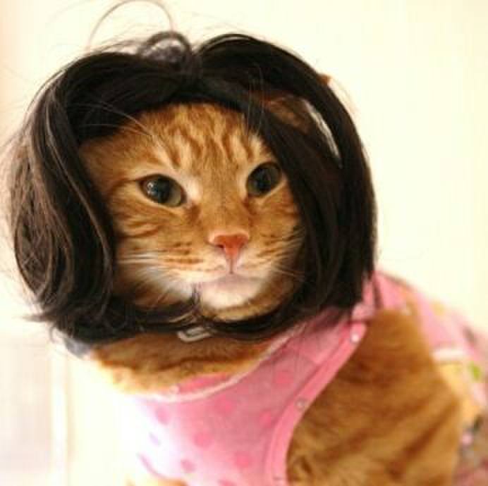 06a16c45 3447 493d 8665 882af0e3c673