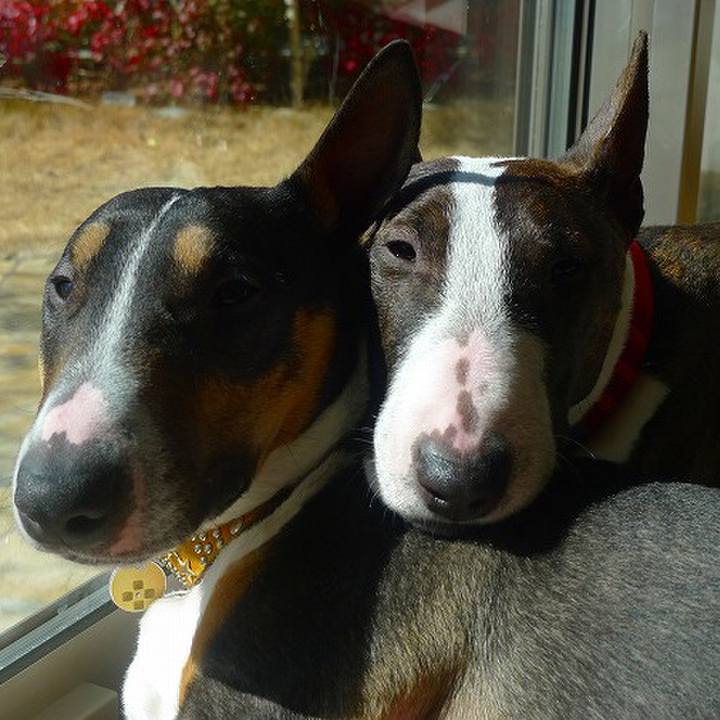 06a1865a 127d 4c41 81c1 767cad5fc0d8