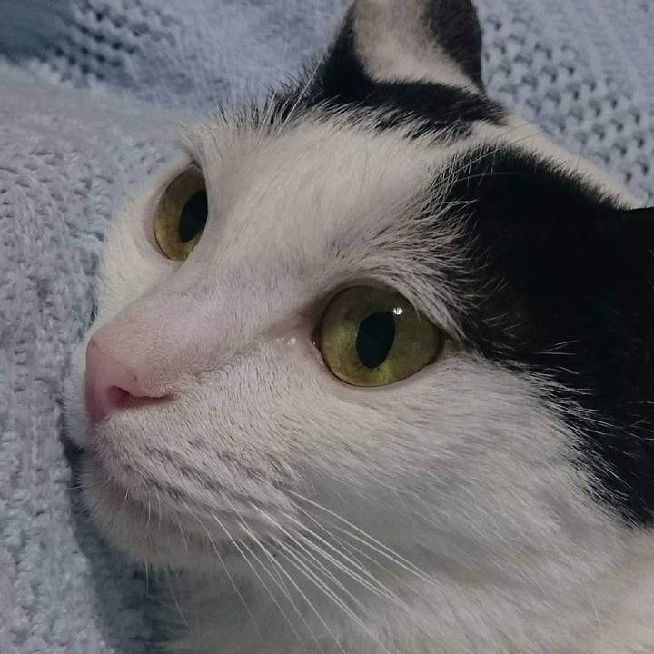 06a1dd1c 3914 4d83 8dbb ccb9d16731d8