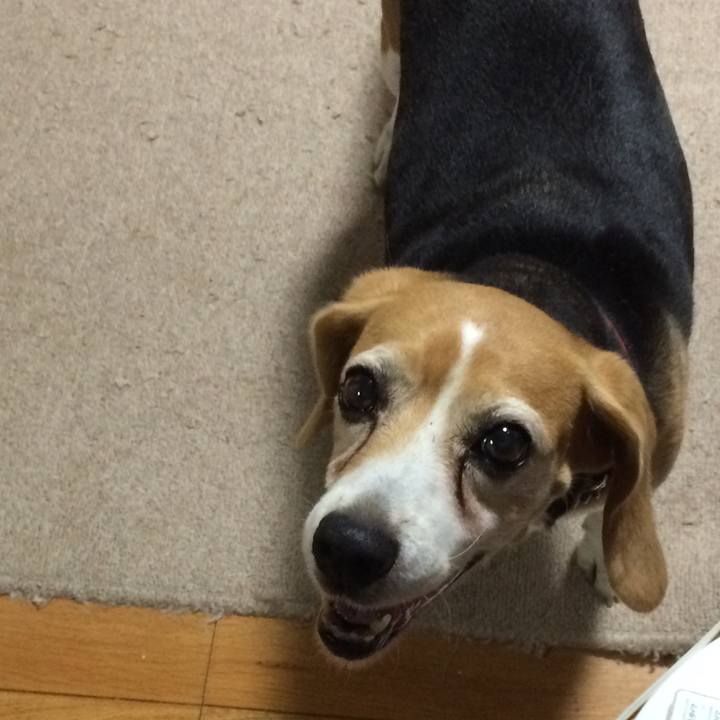 06a1f41f 6b2b 4bdc a83b 71da5b0736b9