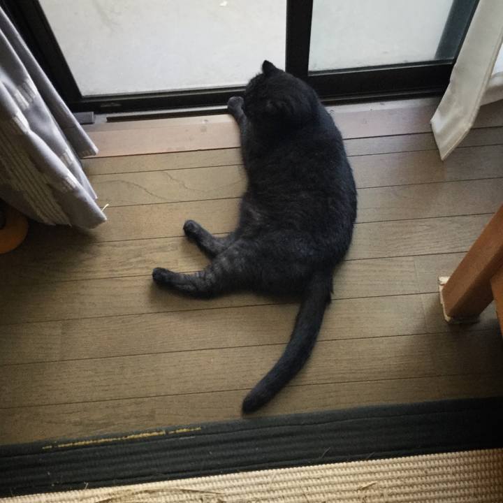 06a20cfa 45e4 4c00 8d9c 1be5f1ea2553