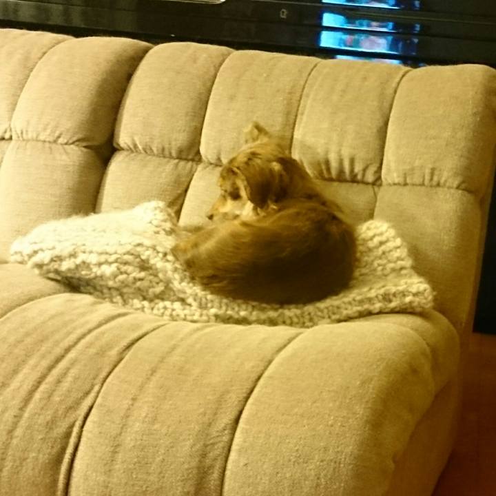 06a25cc6 1929 4deb a513 28d0b5d26cb9