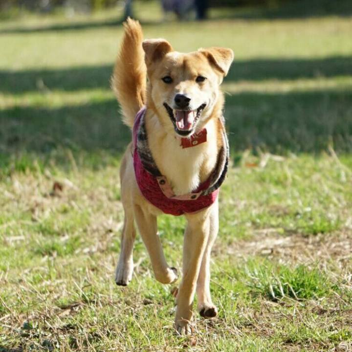 06a29c91 2534 4d46 b696 987f9cc55043