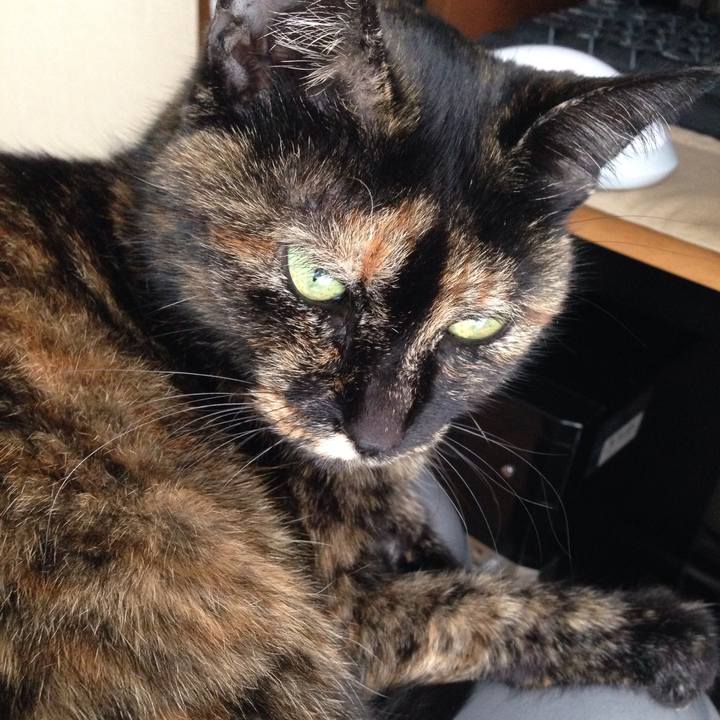 06a2a81c 5291 4863 9aad e130112c176a